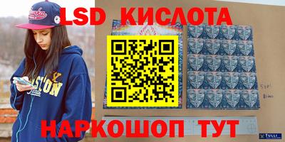 альфа пвп Новодвинск
