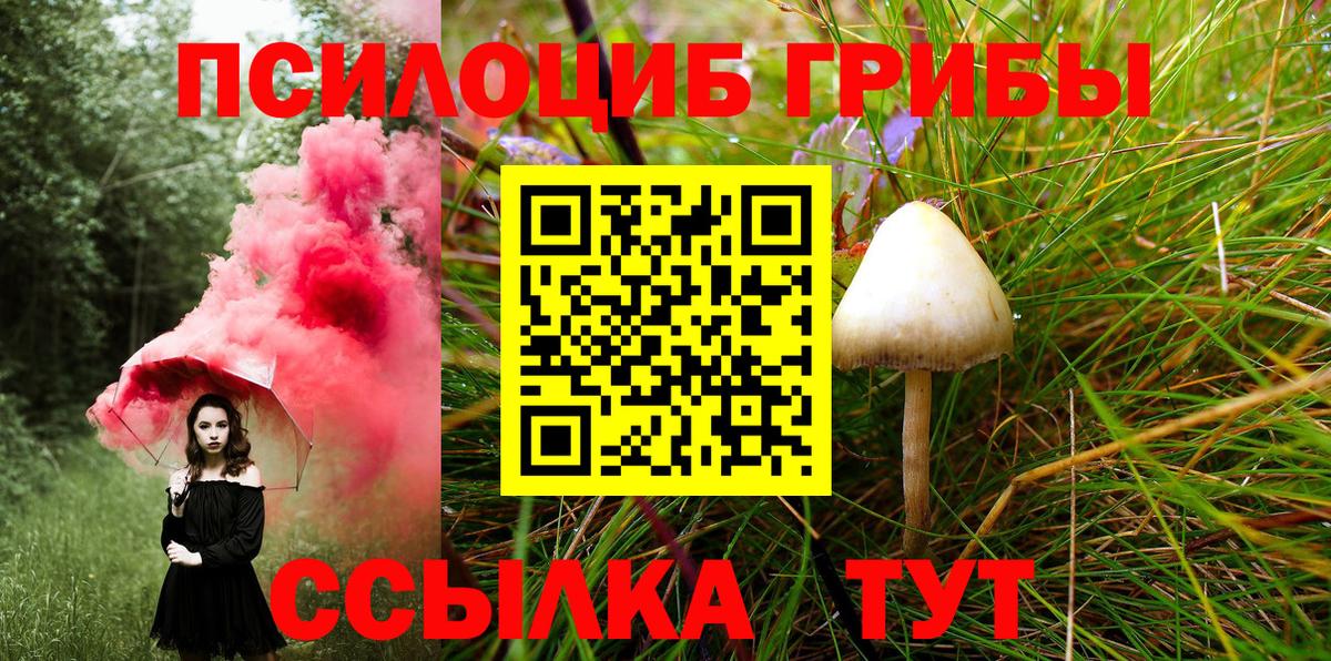 Псилоцибиновые грибы Psilocybe  Галлюциногенные грибы Psilocybe  Вход с VPN  Тимашёвск 