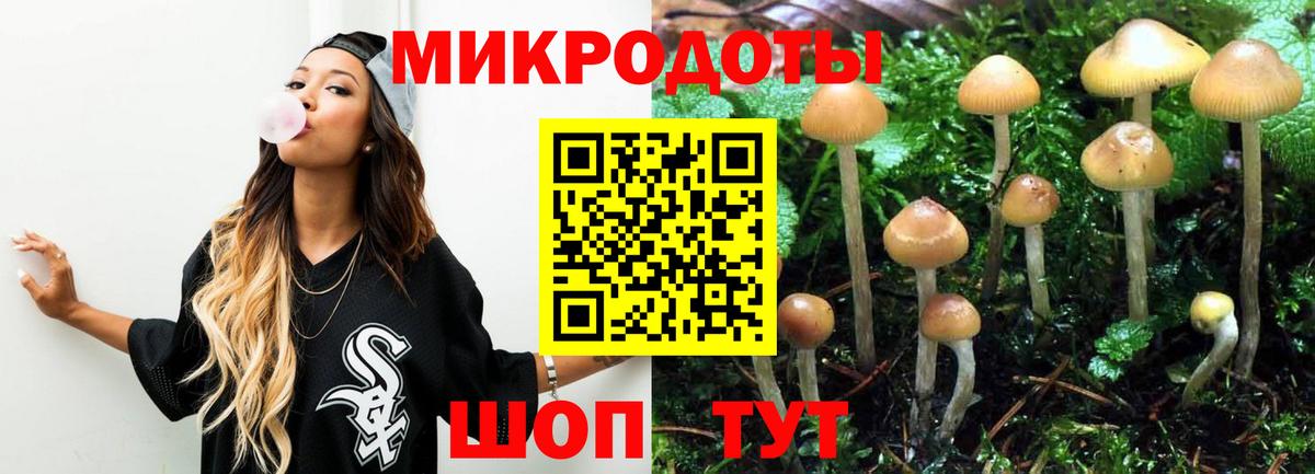 Псилоцибиновые грибы ЛСД Тимашёвск